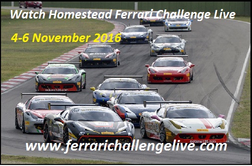 Watch Homestead Ferrari Challenge Live
